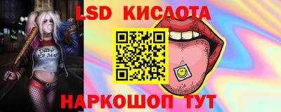 хмурый Донской
