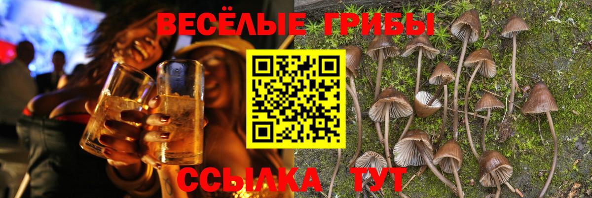 Галлюциногенные грибы GOLDEN TEACHER Саранск