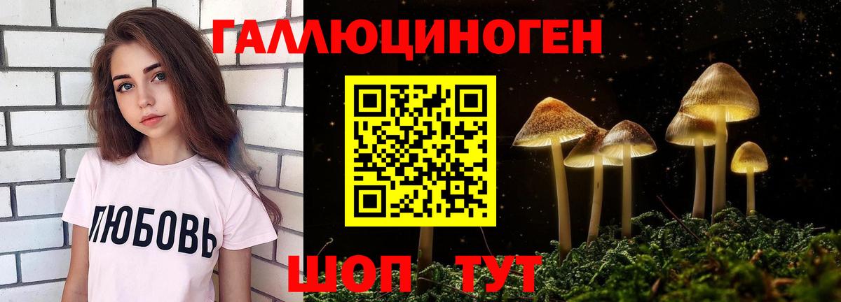 Псилоцибиновые грибы мухоморы  Галлюциногенные грибы GOLDEN TEACHER  Вход с VPN  Саранск 